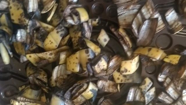 Не выбрасывайте тыквенные очистки смотреть онлайн