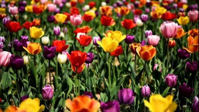 ASMR .Музыка для релаксации.Музыка с видео путешествия, от беспокойства, страха,бессоницы.