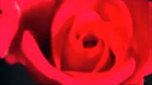 Башкирская лирическая музыка