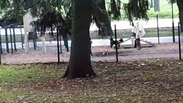 Сентябрь 2023 Парк 1905 года