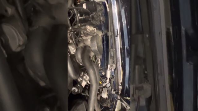 1989 Ford Bronco Cold Start смотреть онлайн