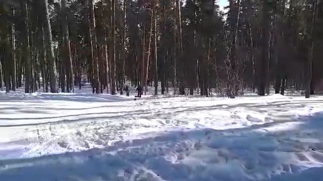 Мото снегоход по лесу смотреть онлайн