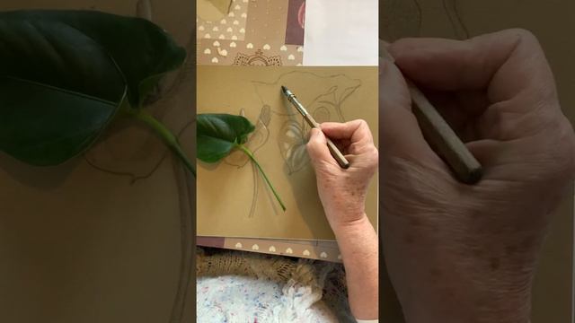 Drawing an Anthurium Spathe 2 смотреть онлайн