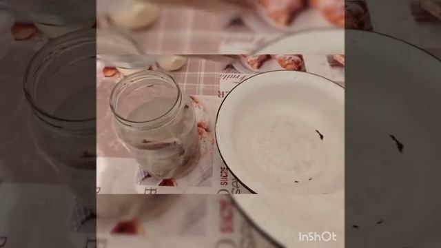 Оселедець з щуки. Домашня селедка. Вкуснейшая )) смотреть онлайн