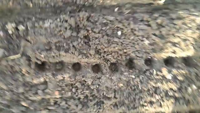 Посадка редиски и капусты в теплицу. 14.04.18 смотреть онлайн