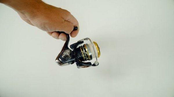 Daiwa Exceler LT или Okuma Inspira - какую катушку выбрать?