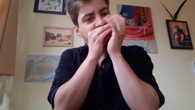 Low Eb Seydel harmonica смотреть онлайн