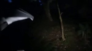 Встреча с сектантами| Паша Пел