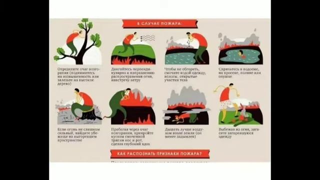 Видео-презентация "Безопасность в лесу и на воде" смотреть онлайн