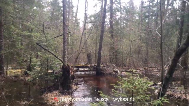 Речка Выксунка радует своим обилием вод смотреть онлайн