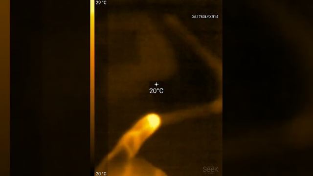 seek thermal test sale 02-29-2020, 09:57: 31 смотреть онлайн