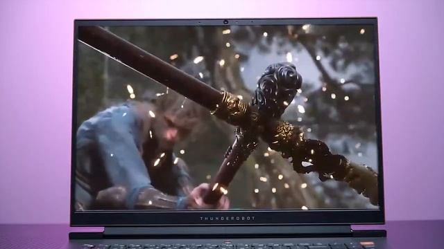 THUNDEROBOT Thunderbolt 4 Gaming Laptop