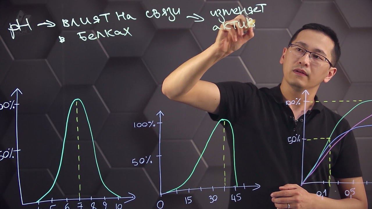 Факторы и условия, влияющие на активность ферментов. 10 класс. смотреть онлайн
