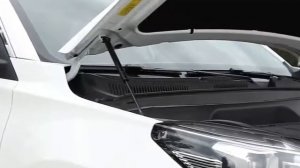 Амортизаторы (упоры) капота для Chery Tiggo 8  / 8 Pro 2021-