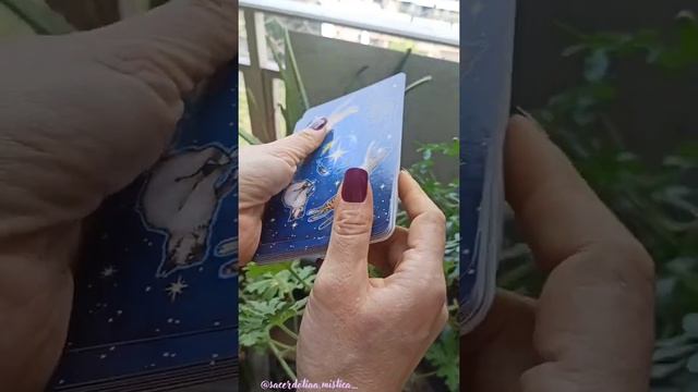 Mensagem com o Oráculo do dia Everyday Witch Oracle. 29/07/23/2 смотреть онлайн