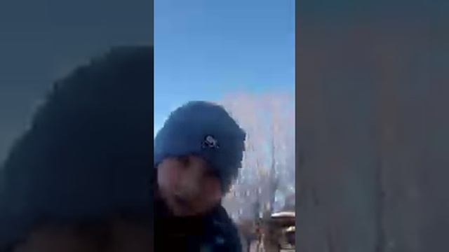 ловушки для птиц смотреть онлайн