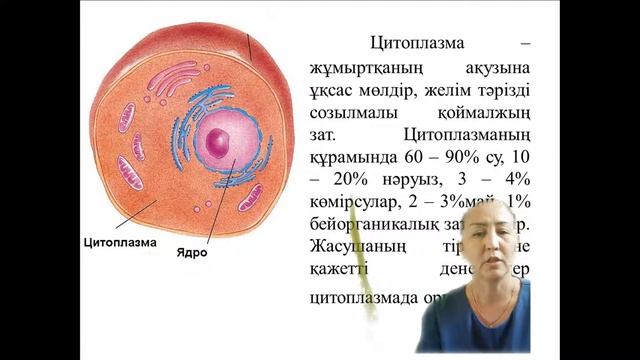 1-сабақ. Өсімдік жасушасының құрылысы. смотреть онлайн