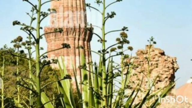 Sultan Aram Shah Reign 1210 AD _ 1211 AD смотреть онлайн