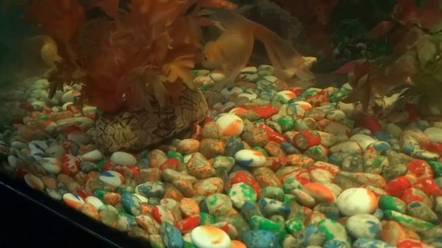 Реле времени и аквариум. смотреть онлайн