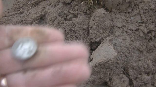 Монеты Серебро. Классный КОП с Классной компанией.Поиск золота