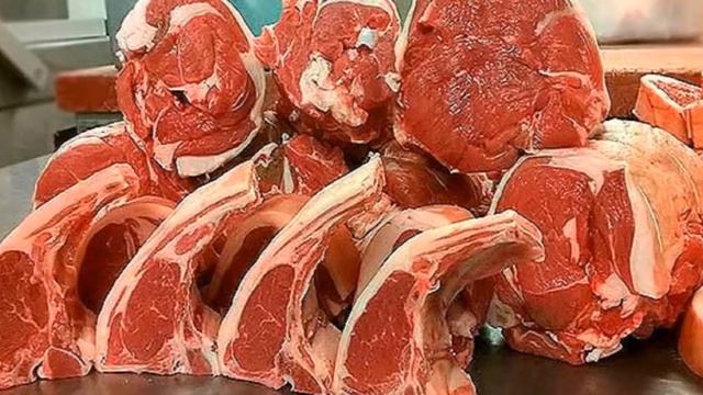 Разведение овец Вандейской породы как бизнес идея | Овцеводство | Вандейские овцы смотреть онлайн