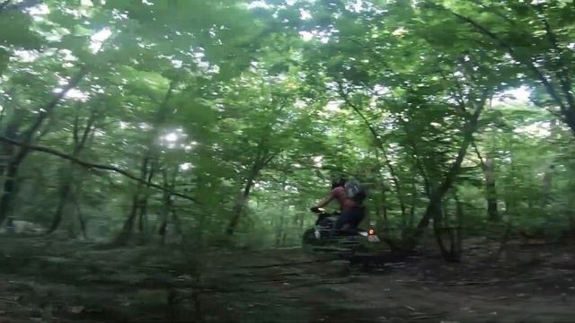 КИТАЙ против ЯПОНИИ. Сравнение Kayo T4 и Honda CRF 250 X. смотреть онлайн