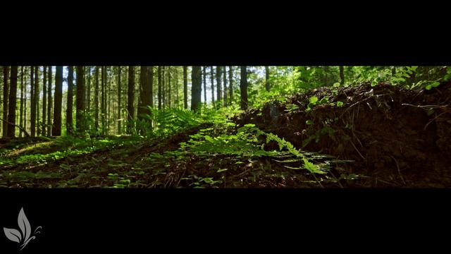 Расслабляющая музыка, чтобы успокоить ум, перестать думать 🌿 Музыка для сна, души и тела #2 смотреть онлайн