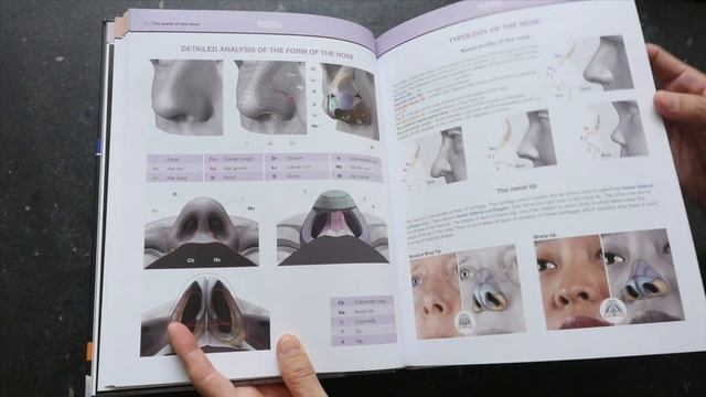 Form of the Head and Neck by Uldis Zarins (book review) смотреть онлайн