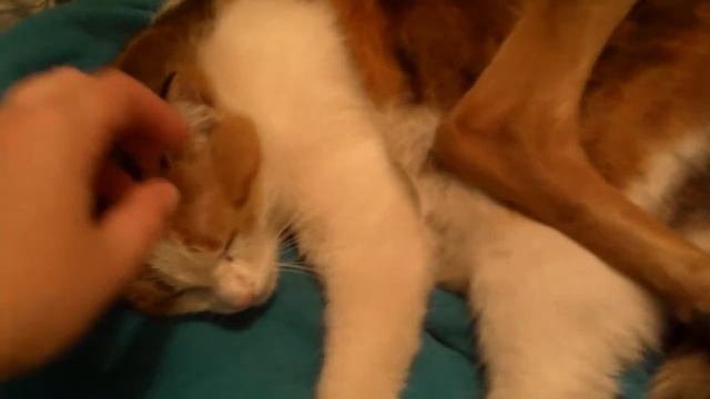 люся и дуня смотреть онлайн