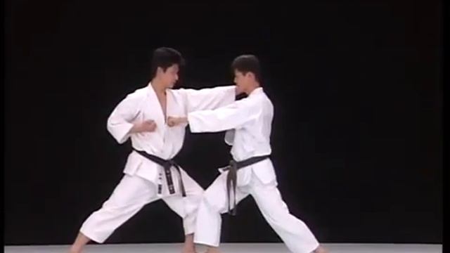 Chintou Bunkai Shitei Kata Wado-ryu Karate
