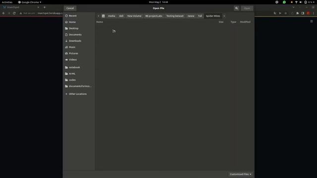Pest classification with BoVW using ORB and SIFT | Streamlit | Heroku | AIML смотреть онлайн