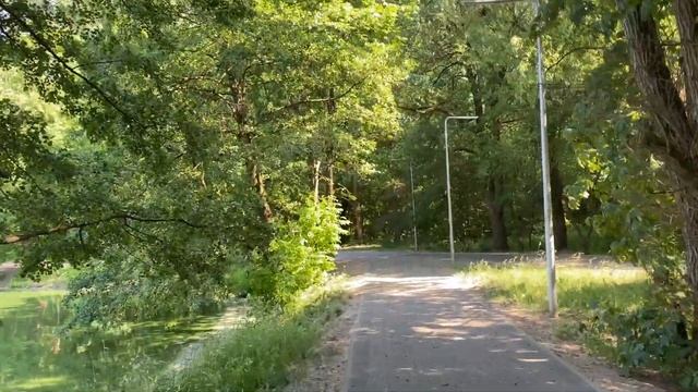 Калининград - Южный парк смотреть онлайн