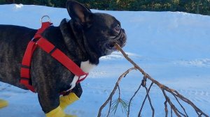 Поход с Олегом в ведьмино царство