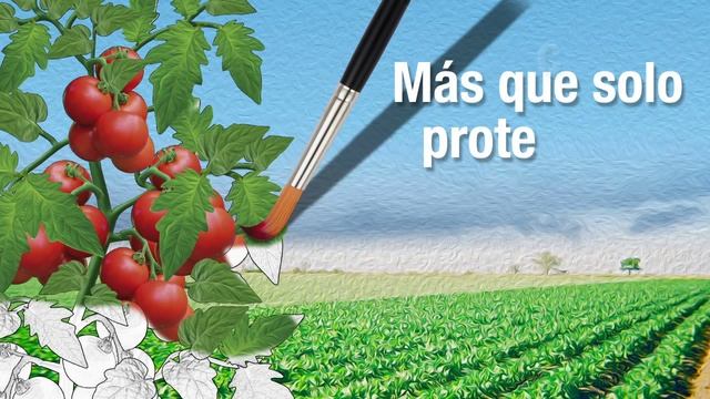 ANTRACOL BAYER смотреть онлайн