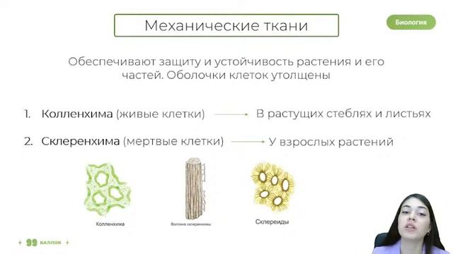 ТКАНИ РАСТЕНИЙ ЗА 30 МИНУТ | БИОЛОГИЯ 10 КЛАСС | ЕГЭ 2022 смотреть онлайн