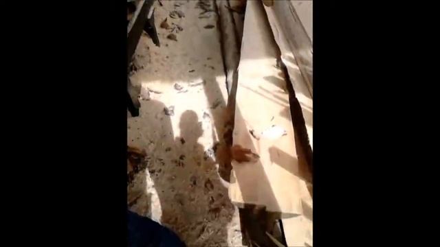 СКППК смотреть онлайн
