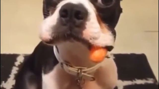 Подозрительая личность