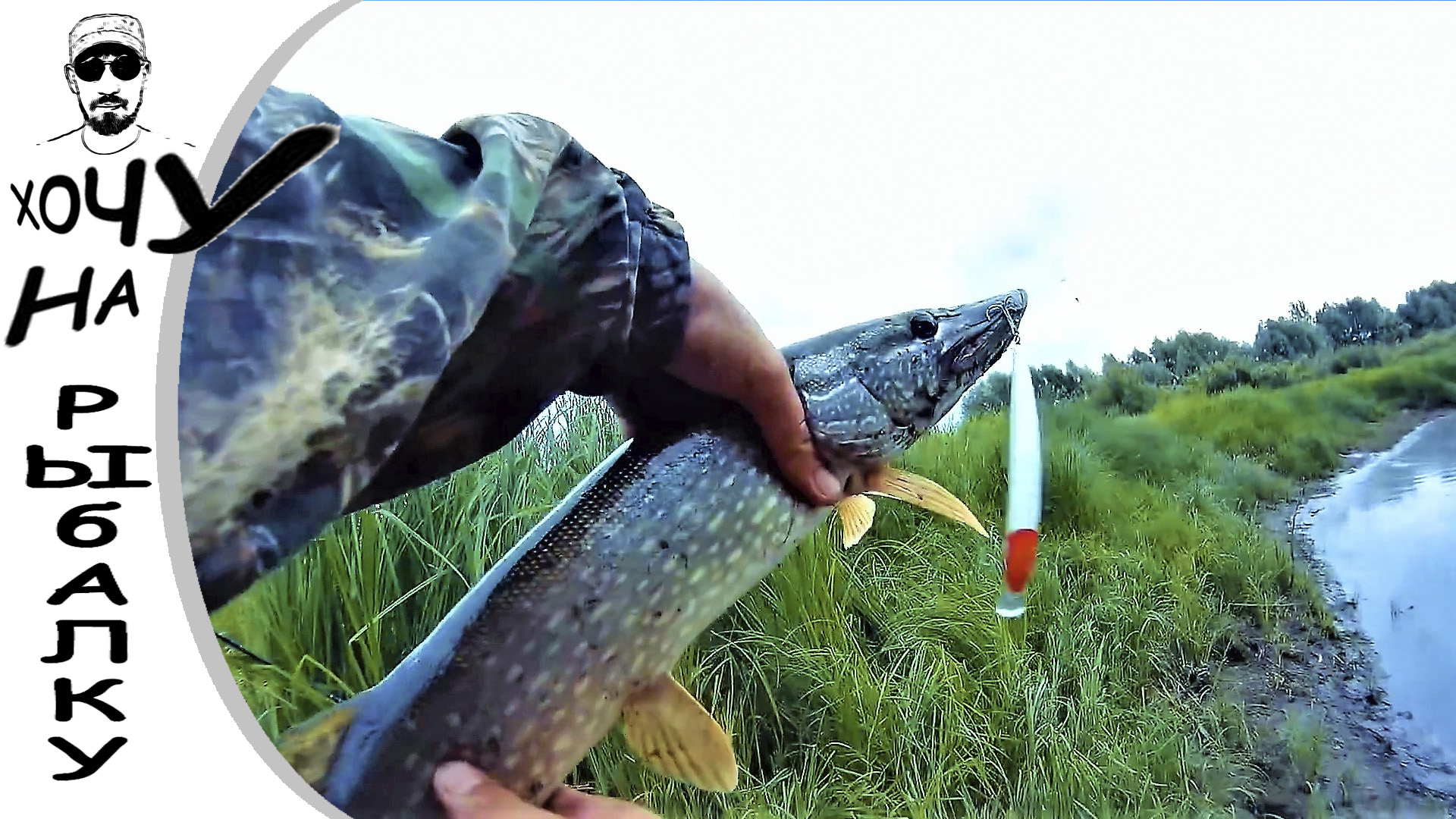 День шнурка. щука на копию Рудры с AliExpress смотреть онлайн