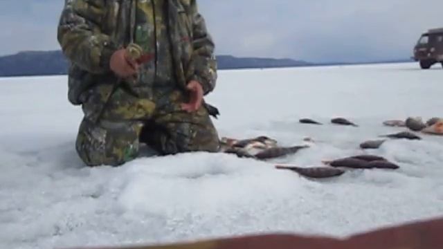 рыбалка УСТЬ-ИЛИМСКОЕ ВОДОХРОНИЛИЩЕ смотреть онлайн