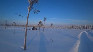 куб дров по пухляку на снегоходе СМ-002