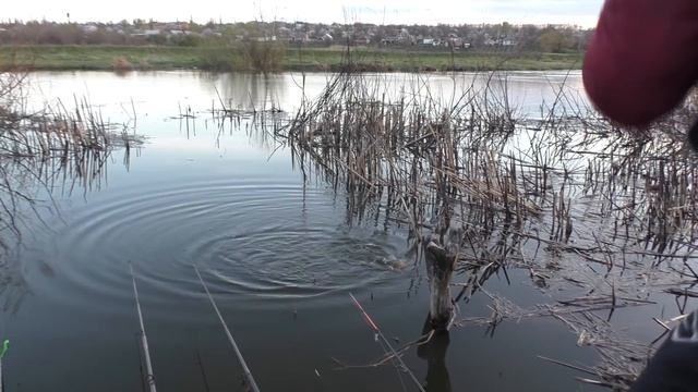 Рыбалка. Ловля карася на поплавок в сильный ветер. My fishing. смотреть онлайн