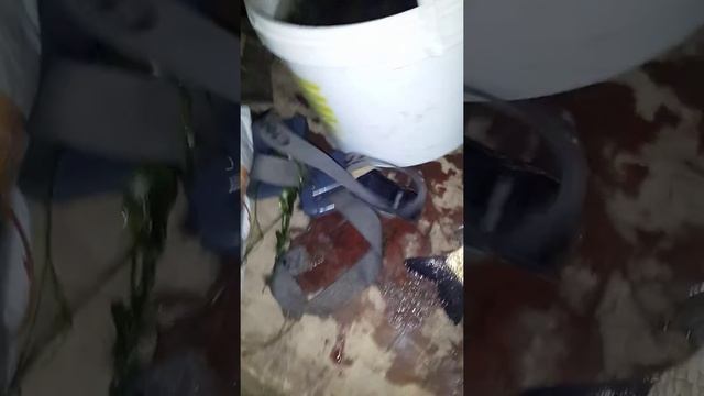 подводная рыбалка на волге смотреть онлайн