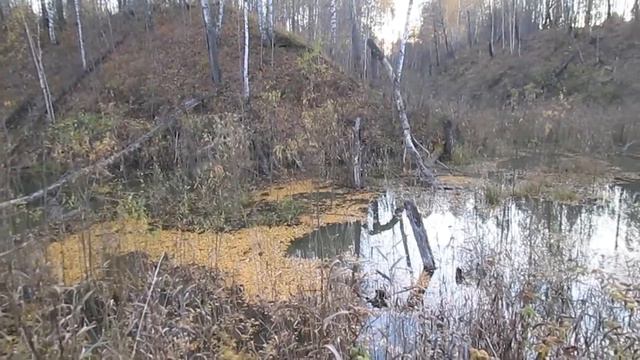 строители и лесорубы - бобры! смотреть онлайн