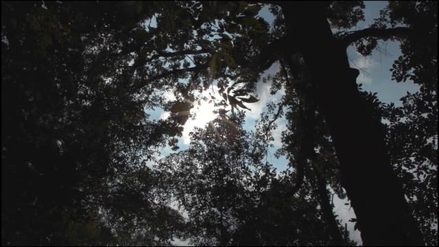 Подсознание / Медитация смотреть онлайн