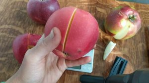 Яблоня Кармин, Цвет Каролины, Граф Эззо, Реанда, Гала Шнига