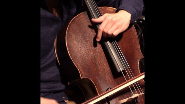 Michele Marco Rossi: In forma di rosa - M.M.Rossi, v.cello смотреть онлайн