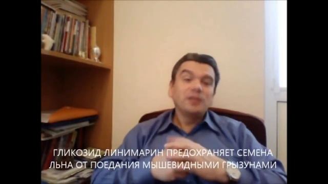 похудение лечение и похудение семенами льна смотреть онлайн