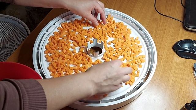 Сушим морковь в электросушилке смотреть онлайн