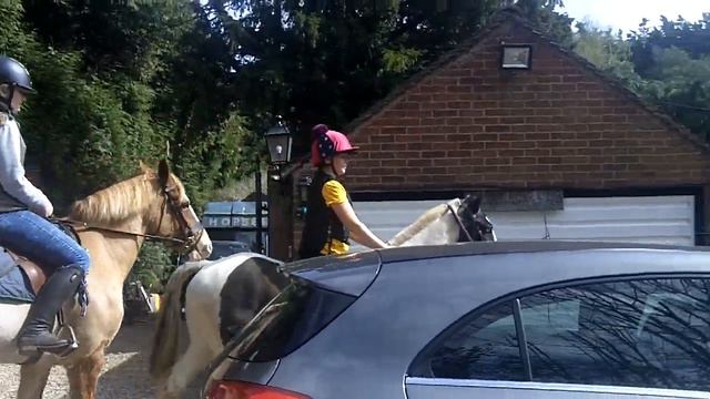 Amarni and Murphy with Jess and William. смотреть онлайн