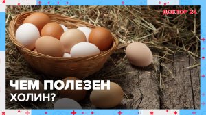 Важный полувитамин – ХОЛИН | Доктор 24